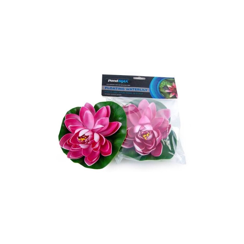 PondMAX Floating Waterlily - Pink