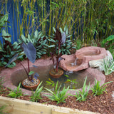 PondMAX Large Rock Look Pond | 300L Capacity