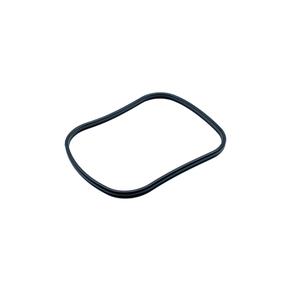 Oase BioMaster - Replacement Main Gasket | 45148