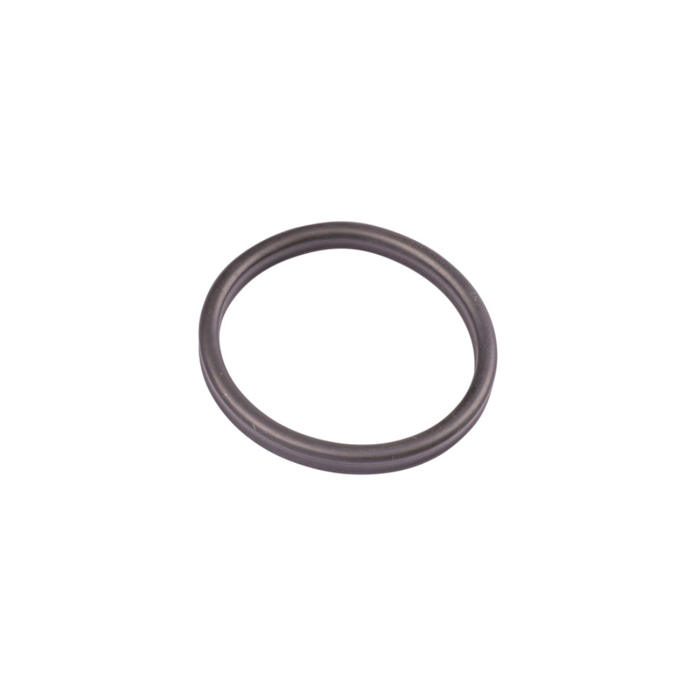 Oase BioMaster - Replacement Pre-Filter Gasket | 45149