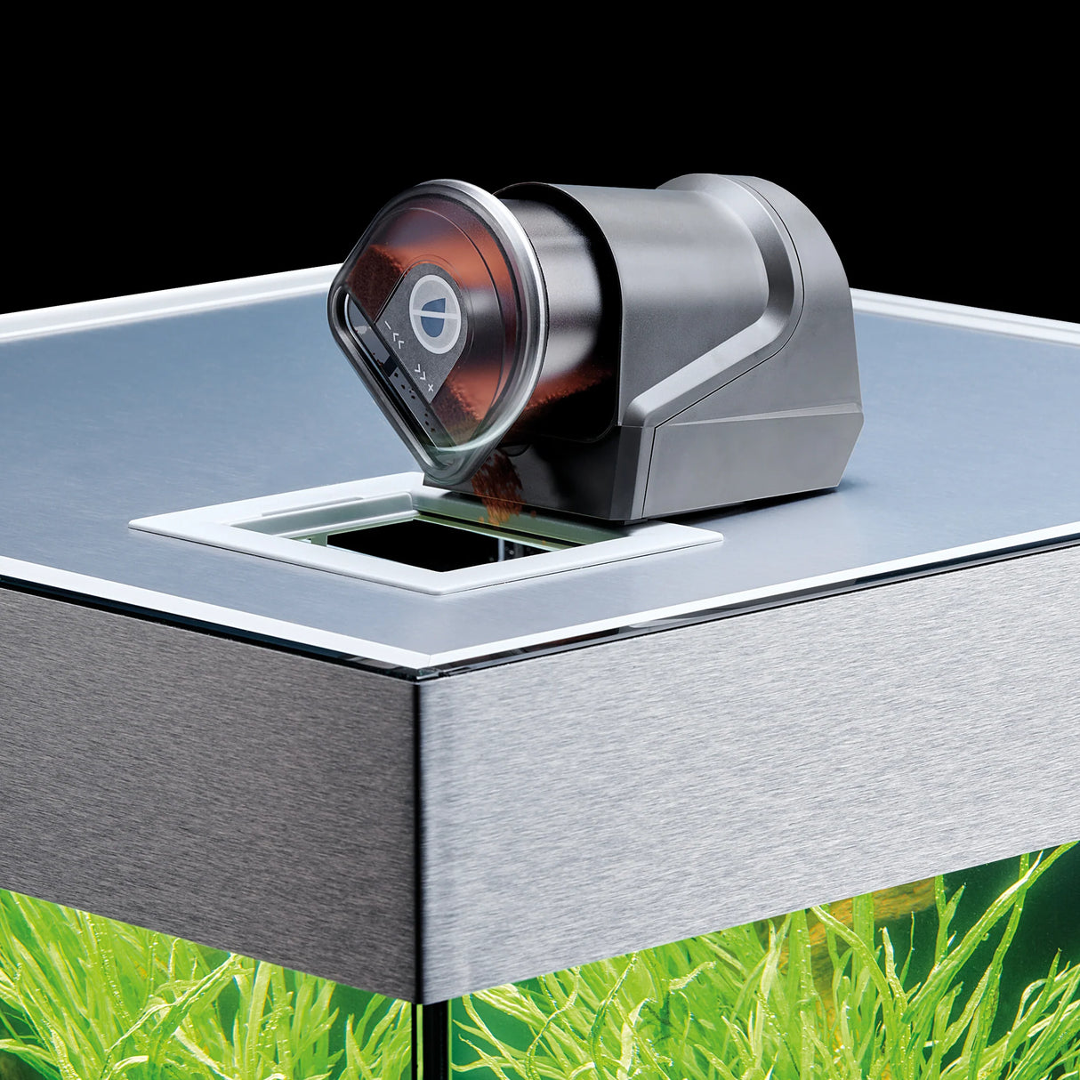 OASE FishGuard Automatic Fish Feeder - Programmable Aquarium Feeder