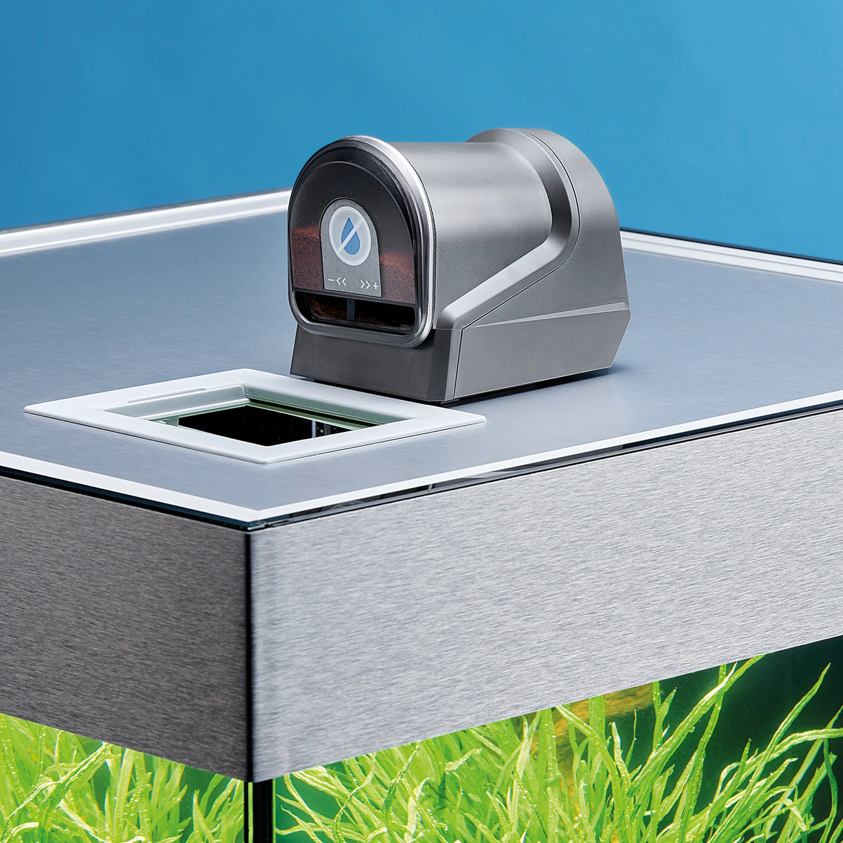OASE FishGuard Automatic Fish Feeder - Programmable Aquarium Feeder