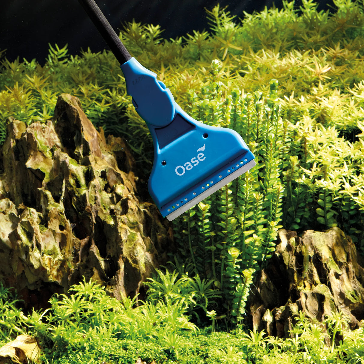 OASE Aquarium Glass Cleaner - 290MM | Manual Algae Scraper